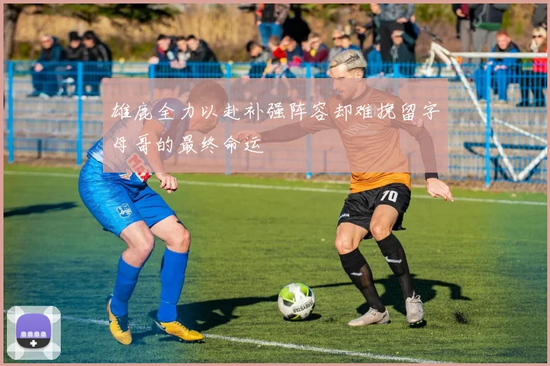 雄鹿全力以赴补强阵容却难挽留字母哥的最终命运