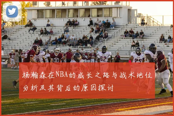 杨瀚森在NBA的成长之路与战术地位分析及其背后的原因探讨