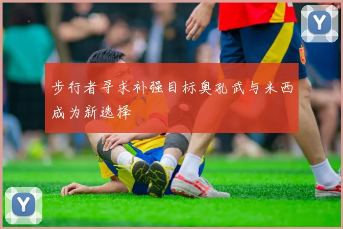 步行者寻求补强目标奥孔武与米西成为新选择